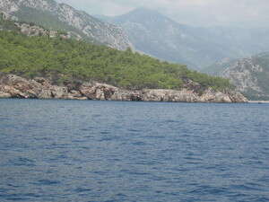 ���� ��'����