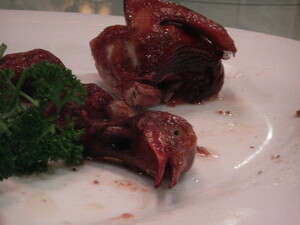 יונה בלי מזל יונה בלי מזל