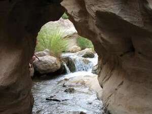 ואדי חסה ואדי חסה