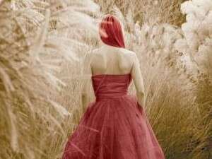 ברידה, עטיפת הספר ברידה, עטיפת הספר