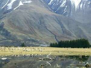 נופי ניו זילנד נופי ניו זילנד
