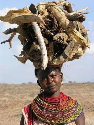 בת שבט הסמבורו בת שבט הסמבורו