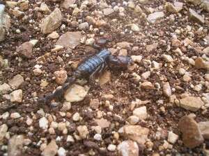 נחל יגור נחל יגור