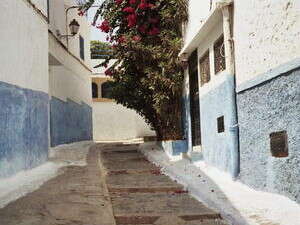 קצבת אודאיה קצבת אודאיה