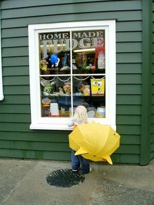 ניו זילנד ניו זילנד