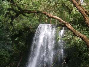 מפל בניו זילנד מפל בניו זילנד