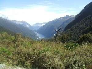 נוף ניו זילנדי נוף ניו זילנדי