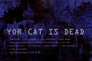 YOUR CAT IS DEAD