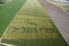 לוגו פרי הגליל חרוש בשדה בגלבוע לוגו פרי הגליל חרוש בשדה בגלבוע