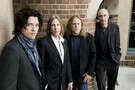Gov't Mule