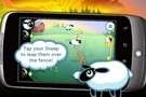 sheep