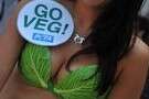  PETA.  ?