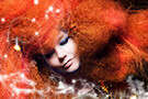 Biophilia