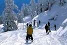   Mayrhofen 