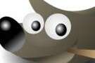 Gimp Icon