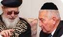 צילום ארכיון: אי-פי