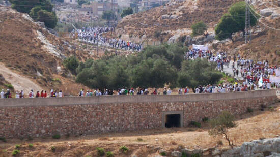 ���� ������ ����� ����. �����: ���� ������. ����: ���� ������. �����: ���� �����