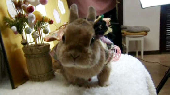 �����: ������; �����: ����� ���