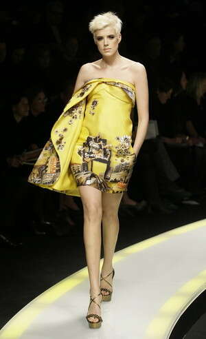 שמלה של ורסצ'ה ורולוף, חורף 2008-2009 שמלה של ורסצ'ה ורולוף, חורף 2008-2009