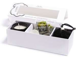 ���� �����