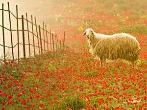 ���� ���� ������. ���� ������?