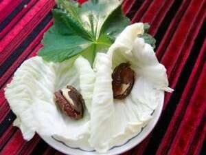 הממתק האהוב: תמרים שהושרו במים ובתוכם אגוזי ברזיל הממתק האהוב: תמרים שהושרו במים ובתוכם אגוזי ברזיל