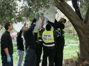 גופתו של מולה ג'רמה שהתאבד בתליה לאחר שעל פי החשד רצח את אשתו בחיפה גופתו של מולה ג'רמה שהתאבד בתליה לאחר שעל פי החשד רצח את אשתו בחיפה
