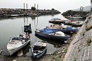 ���� ������, ������ 2008