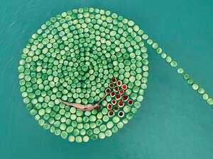 ����� ��� �� ���� ����� ��������