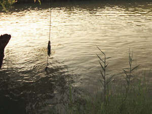 ��� �����. ���� ����� ���� ��� ����� 98% ������