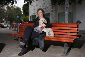 ���� ���