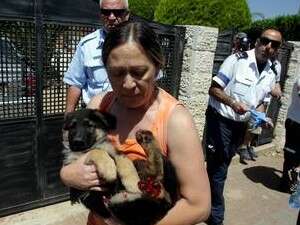 ��� ���� ���� ���� ������