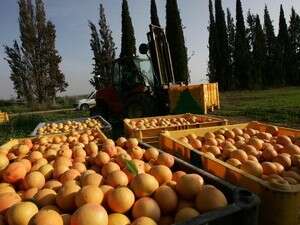 ������ ����� ���������. ����� ��� ������ ���, �����.