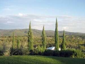 ��� ������