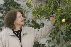 ����� ���-�����