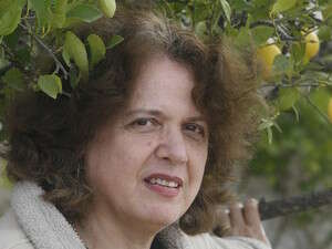 ����� ���-����� 