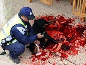 ��� ���� ������