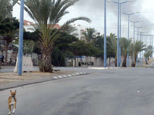 ��� ������� ������ �� �����. �� ���� ��� ��� ����