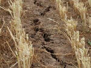 �������� �������� ���� ���