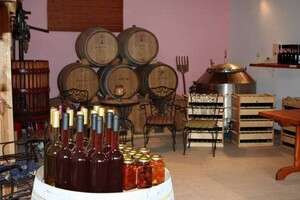 ���� �� ����� ����