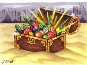 מטמון - אדם טבע ועיר מטמון - אדם טבע ועיר