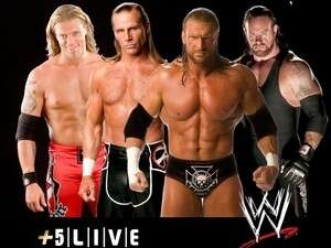 מתאבקי ה-WWE. מתאבקי ה-WWE.