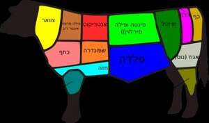 חלקי הפרה חלקי הפרה