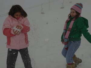משחקים בשלג. משחקים בשלג.