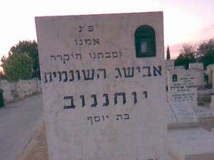 אבישג השונמית אבישג השונמית