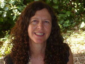 תגית כלימור תגית כלימור