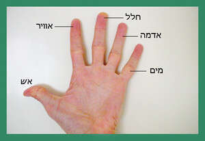 חמשת היסודות חמשת היסודות