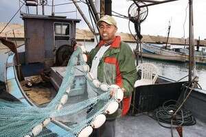 ����� ���� �����. 