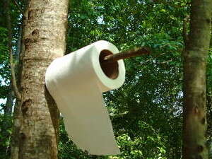 ���� �����. �� �����