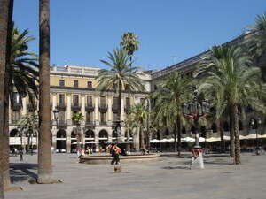 ���� ������. �������